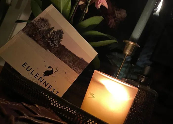 Eulennest - Tiny House im Habichtswald